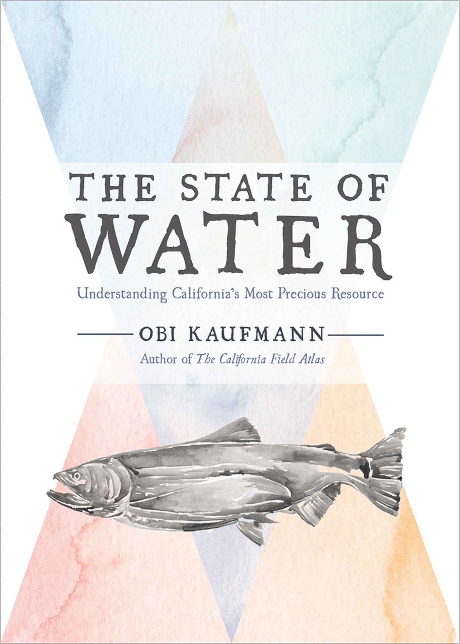 Cover image for The State of Water ISBN 9781597144698
